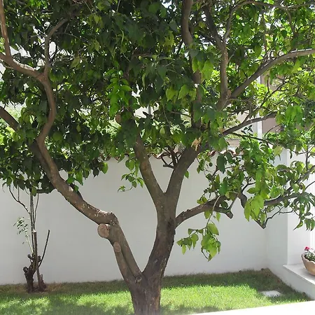 Alojamento de Acomodação e Pequeno-almoço Casa Santolina Roma